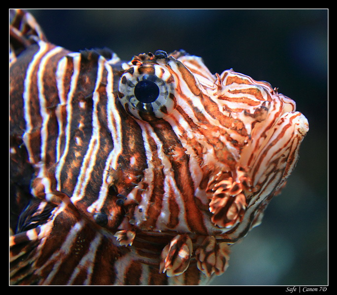 2012 - 06 - Dubai - 158